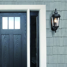 Load image into Gallery viewer, Sentry Outdoor Wall Mount