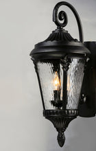 Load image into Gallery viewer, Sentry Outdoor Wall Mount