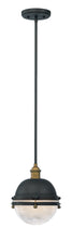 Load image into Gallery viewer, Portside Outdoor Pendant
