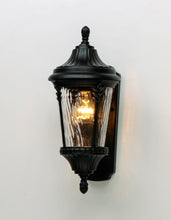 Load image into Gallery viewer, Sentry Outdoor Wall Mount