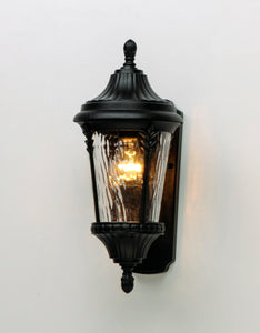 Sentry Outdoor Wall Mount